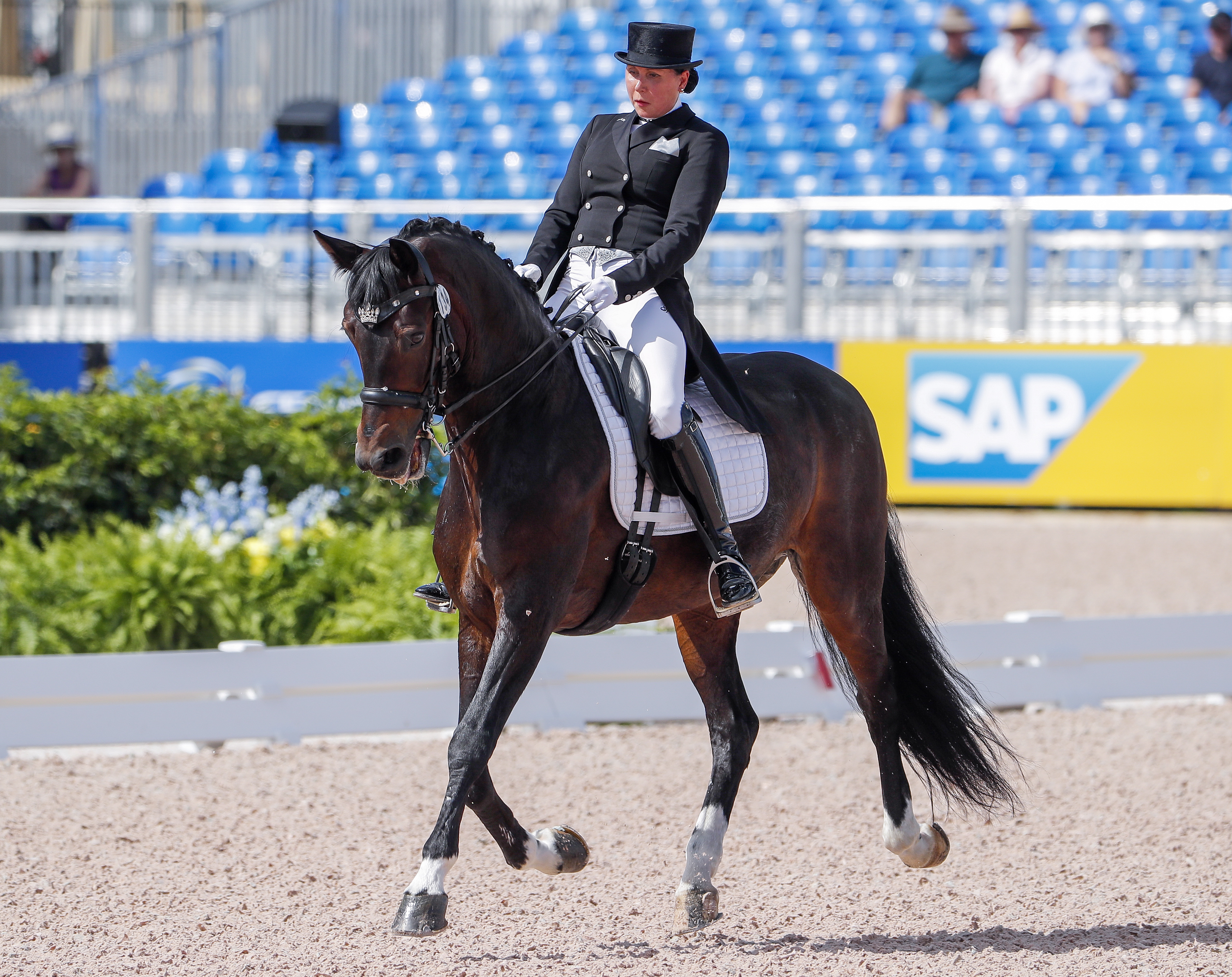 马术比赛中德国选手身姿优雅