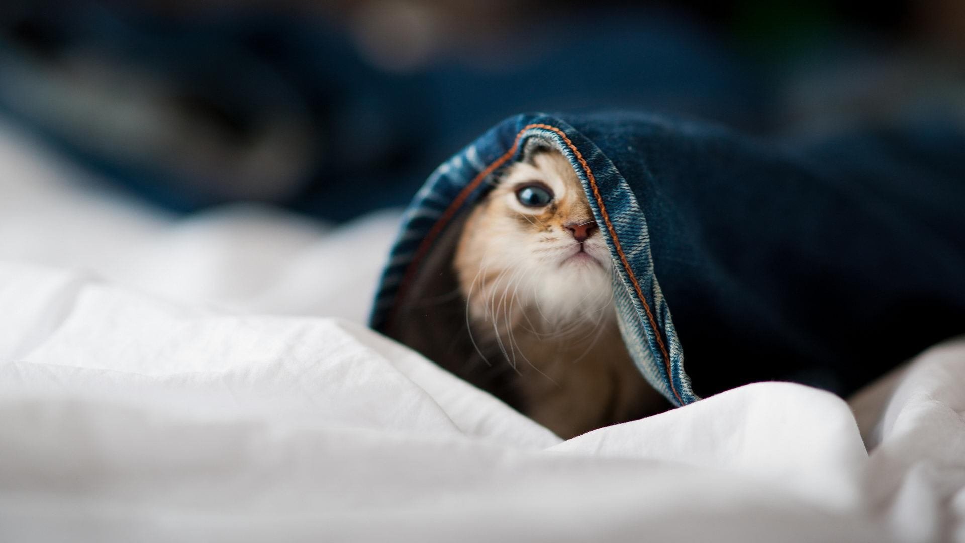 1988 vs 2024，两场奥运钥匙之争，马赛提前锁定巴黎入场券