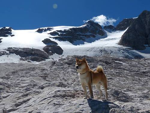 跨洋对决，广厦队压哨绝杀马刺，杜兰特统治级数据闪耀