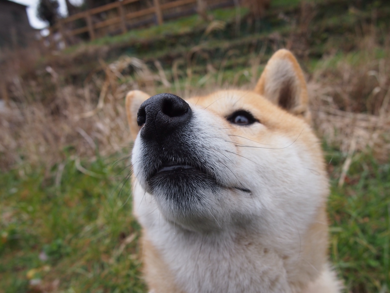 裂痕之上，最后一舞，绝境中的弗拉霍维奇，在争冠战夜里轰然爆发