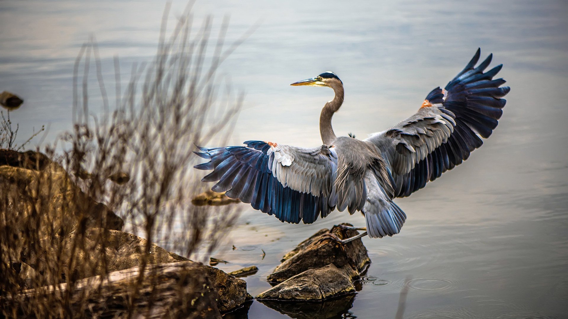 烽火燃尽，王座易主，基米希一剑封喉之夜