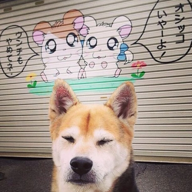 克莱接管意甲焦点战？不，这是公牛带走雄鹿的降维打击