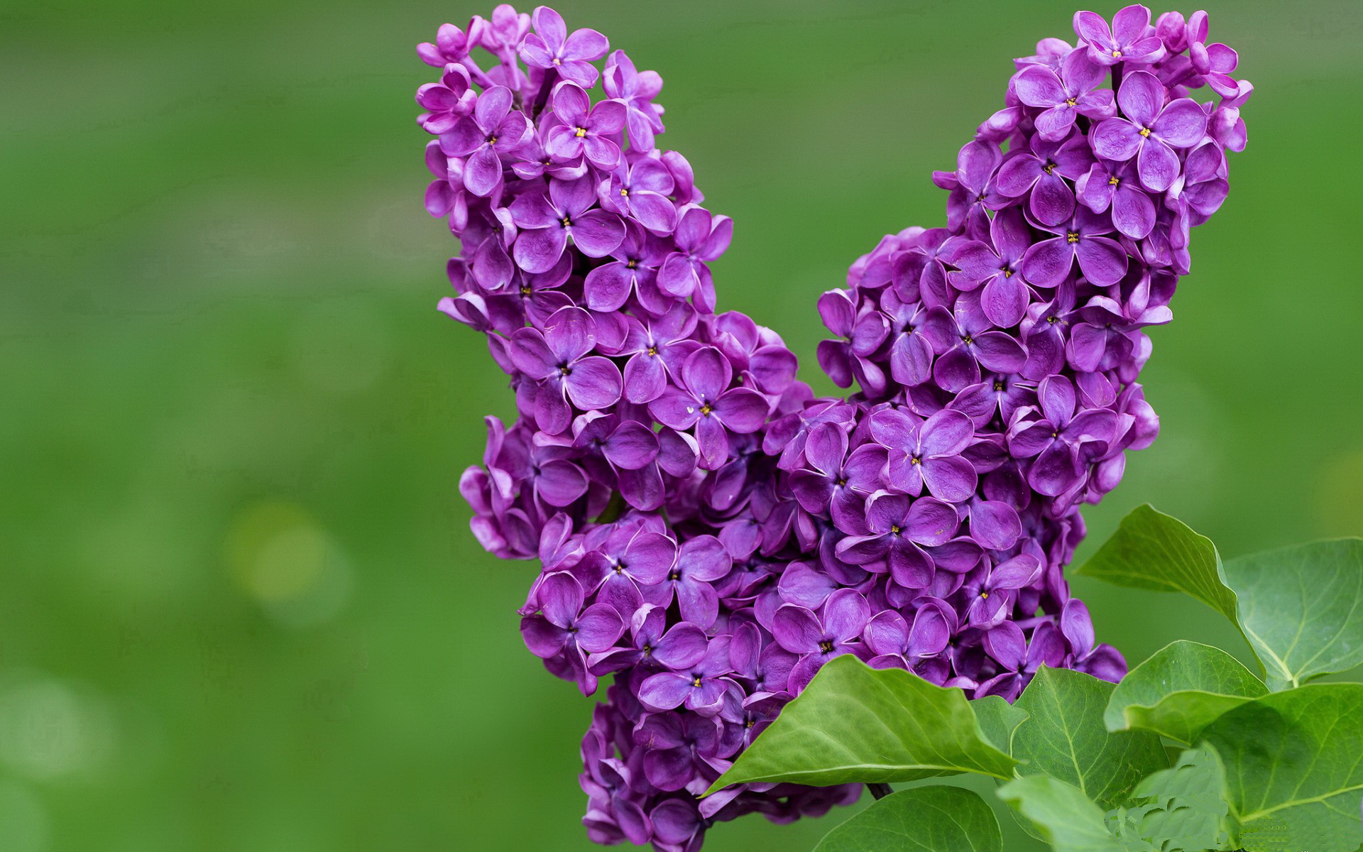 雷火电竞app-那个夜晚，托尼定义了自己